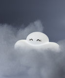 Silver Lining Cloud