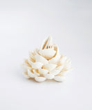 Bloom Shell