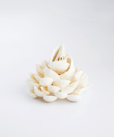 Bloom Shell