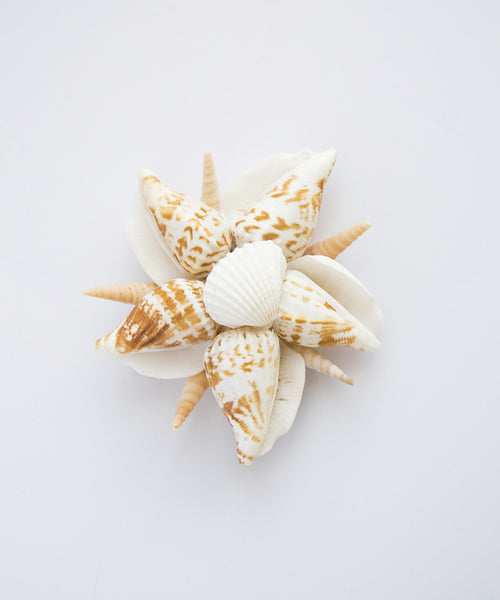 Starlight Shell