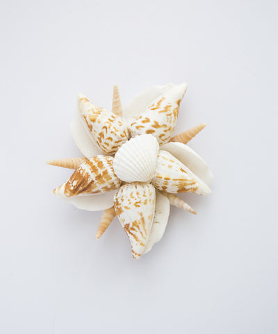 Starlight Shell