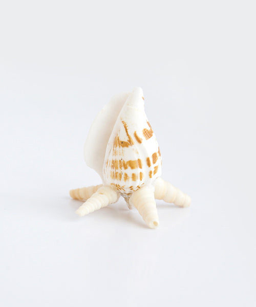 Tower Shell