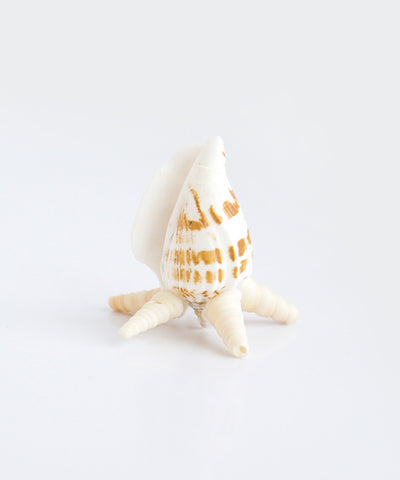 Tower Shell