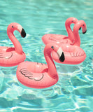 Reginald the Flamingo Float